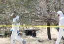 PGJE no cobra por servicios y entrega de restos humanos encontrados en fosas clandestinas