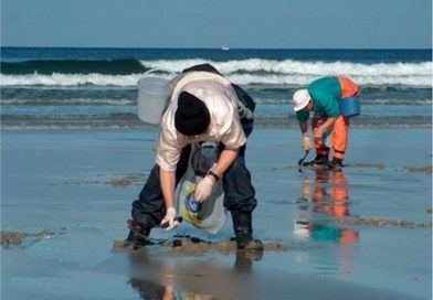 Activan vedas pesqueras en BCS para proteger especies y garantizar su sustentabilidad