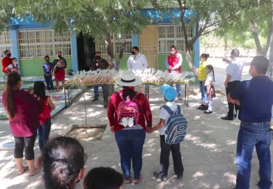 Concluye ciclo escolar 2025–2026 de educación básica en BCS