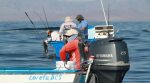 Avanza programa de ordenamiento pesquero y acuícola en BCS