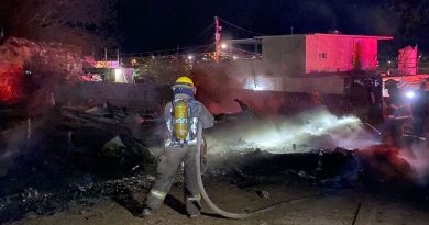 Perro muere tras incendio en Villas de Guadalupe