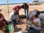 Convoca ZOFEMAT a macro limpieza en Playa El Comitán