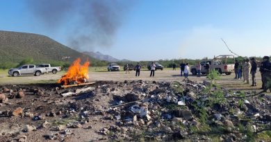 Incineran narcóticos y destruyen objetos apócrifos en La Paz