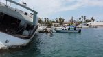 En marcha Plan de Protección Portuaria en APIBCS por Temporada de Huracanes 2024