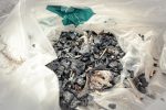 Se recolectaron 390 kilos de residuos en la macro limpieza de la playa el Saltito Original