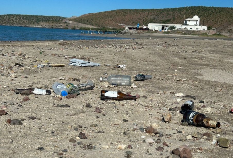 Recolectan más de 5 toneladas de residuos en playas de La Paz - NBCS ...