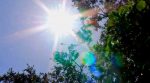 Alertan por calor extremo; piden reforzar medidas de prevención
