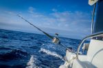 Invitan a la Segunda Edición del Torneo de Pesca Deportiva “Torneo Legisladores”