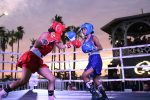 Invitan a participar en el Torneo de Box por La Paz