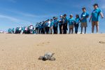 Promueve Ayuntamiento de La Paz inclusión con alumnos del CAM en liberación de tortugas