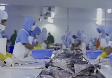 Lidera BCS captura de calamar gigante y genera derrama económica