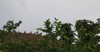 Pronostican fin de semana fresco con posibilidad de lluvias en algunas regiones de BCS