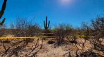 Siguen apareciendo fosas clandestinas en La Paz; hoy 4 más en El Cajoncito