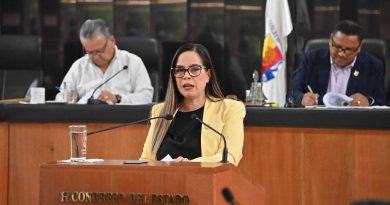 Llama diputada Gabriela Montoya a entes públicos de BCS a entregar cuentas públicas antes del 30 de abril