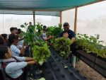 Obtienen primer cosecha del proyecto agroacuicola en Puerto Chale