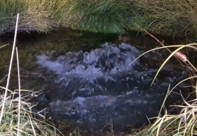 Iniciará hoy Oomsapas de La Paz la ruptura de acueducto en inmediaciones del Tecnológico