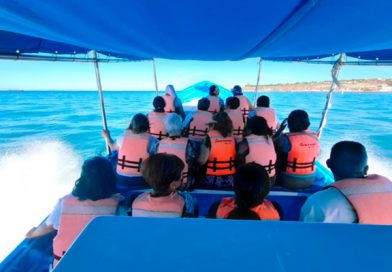 “Nos hacen falta embarcaciones gracias a Dios”, dicen prestadores de servicios del malecón de La Paz ante gran demanda