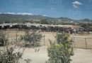Vinculan a proceso a mujer por uso irregular de bien nacional en arroyo de Los Cabos