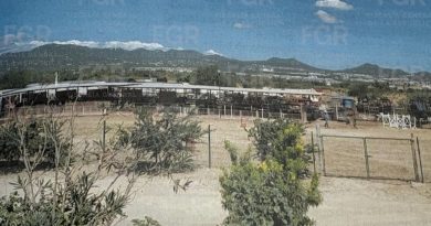 Vinculan a proceso a mujer por uso irregular de bien nacional en arroyo de Los Cabos