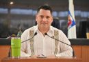 Proponen reformas al Código Civil estatal en materia de protección y bienestar animal