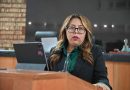 Mecanismos de flexibilidad laboral para madres y padres trabajadores del servicio público: Diputada Teresita Valentín