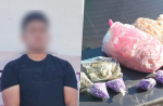 Detienen a joven con droga y producto marino en veda en Comondú