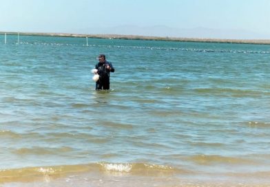 Determina COEPRIS condición sin riesgo sanitario en bahía de La Paz