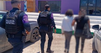 Resguarda SSPE a menor víctima de violencia familiar en El Pescadero