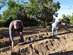 Sector agrícola de Baja California Sur genera producción por 15 mil millones de pesos