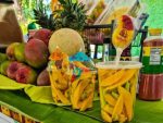 Todos Santos celebra el sabor, la cultura y sus tradiciones con el XVII Festival del Mango
