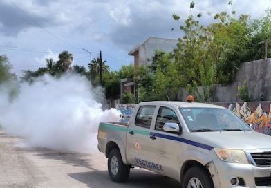 Iniciará Salud estatal operativo de fumigación contra el dengue en La Paz y Los Cabos
