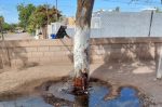 Reitera ayuntamiento de Loreto llamado a proteger las instalaciones deportivas