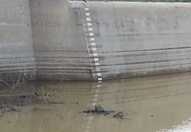 Reservas de agua en BCS siguen al mínimo; cinco presas no rebasan el 20%