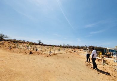 Inicia Baja California Sur registro de fosas comunes para fortalecer la identificación humana
