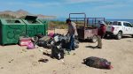 Zofemat La Paz retira más de 49 toneladas de basura en playas durante verano 2026