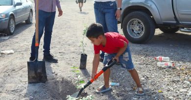 Loreto se suma a la Jornada Nacional de Reforestación con la Plantación de 350 Árboles