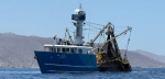 Pesca legal e ilegal presionan los recursos marinos de BCS por falta de vigilancia
