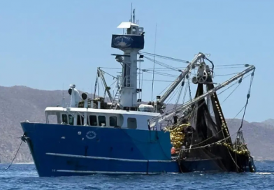 Pesca legal e ilegal presionan los recursos marinos de BCS por falta de vigilancia