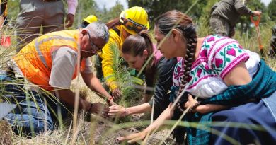 Presidenta Claudia Sheinbaum encabeza inicio de la Jornada Nacional de Reforestación 2026