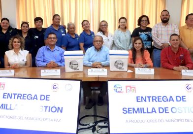 UABCS entrega nueva dotación de semilla de ostión a productores de La Paz