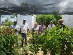 Gestionan 500 árboles para el municipio de Loreto
