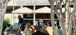 Burócratas también suspenden protesta por cercanía del huracán “Polo”
