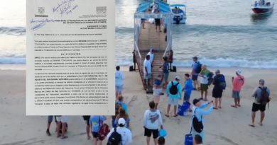 FONMAR descarta fraude en torneo de pesca de Los Barriles