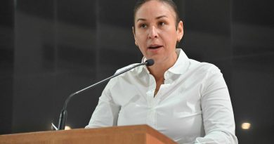Proponen evaluar la eficacia del tratamiento psicológico para agresores domésticos