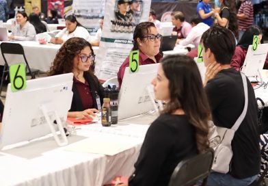 Oferta SNE-BCS más de 500 vacantes de empleo formal en La Paz