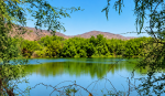 Recupera ayuntamiento de Loreto condiciones ambientales de la laguna de oxidación