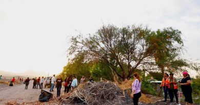 Retira ayuntamiento de Loreto más de diez toneladas de basura en jornada de limpieza