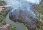 En medio de la contingencia por el huracán, se incendia palmar de Heroica Mulegé
