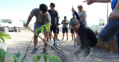 XI Ayuntamiento de Loreto avanza en su estrategia de reforestación gestionando casi 5 mil arboles