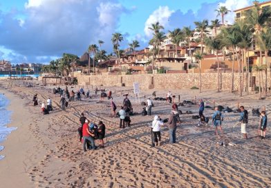 Disminuye 80% el arrastre de residuos a playas de Cabo San Lucas tras lluvias de “Marie”